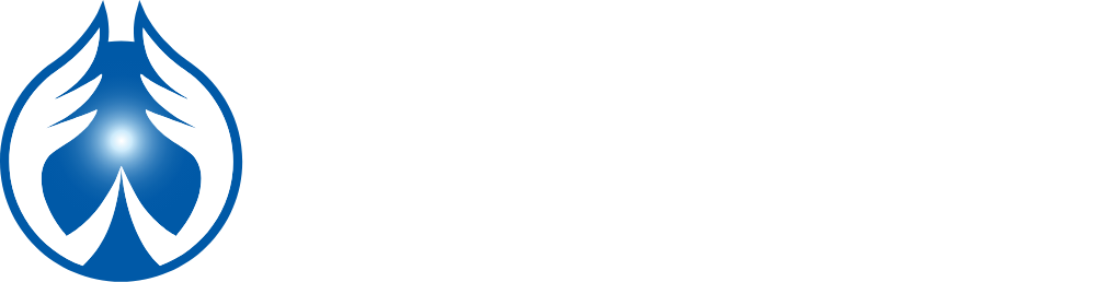 WingEarth